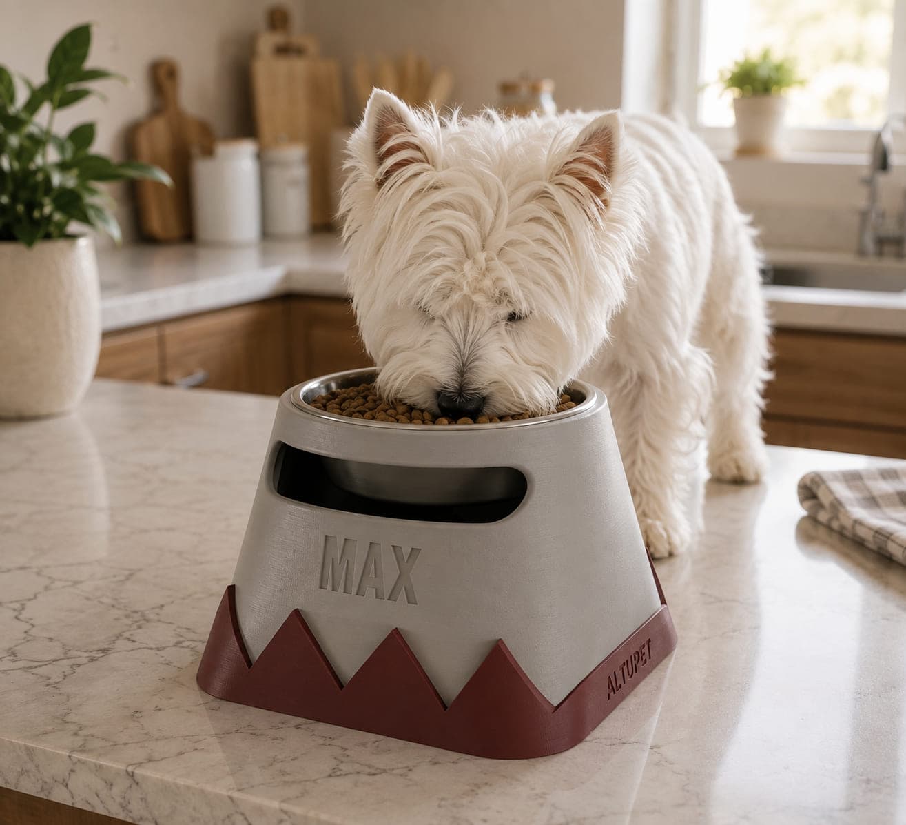 Ergonomic Pet Bowl — Taller stand for larger dogs